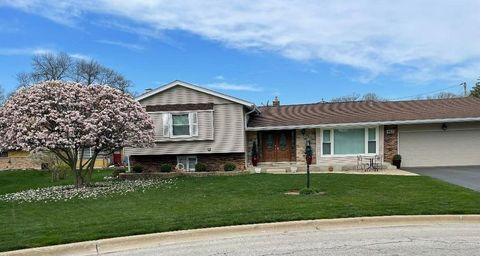 462 Mulberry Lane Wood Dale IL 60191