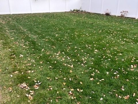 Tiny photo for 6101 W 127th Street, Palos Heights, IL 60463 (MLS # 12522592)