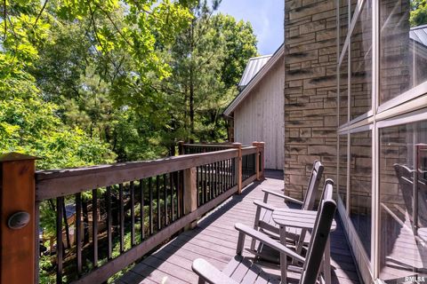 Tiny photo for 1165 Lake Shore Drive North Drive, Goreville, IL 62995 (MLS # EB460586)