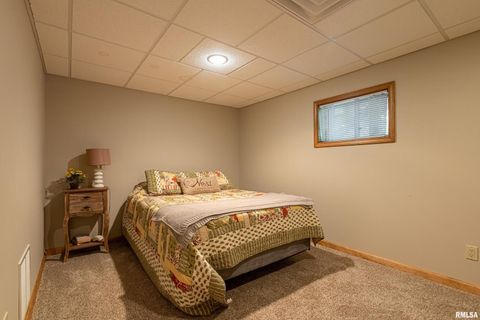 Tiny photo for 1165 Lake Shore Drive North Drive, Goreville, IL 62995 (MLS # EB460586)