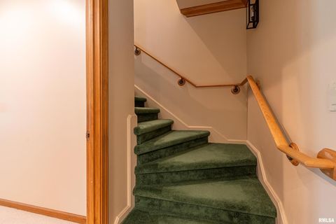 Tiny photo for 1165 Lake Shore Drive North Drive, Goreville, IL 62995 (MLS # EB460586)