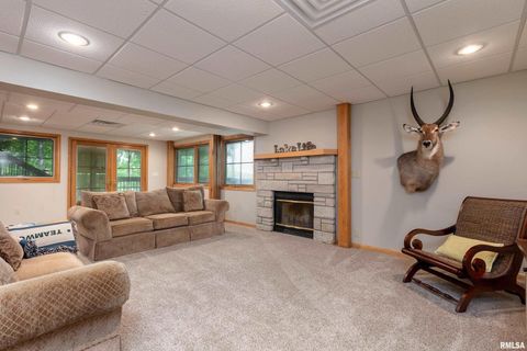 Tiny photo for 1165 Lake Shore Drive North Drive, Goreville, IL 62995 (MLS # EB460586)