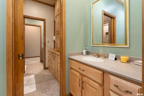 Tiny photo for 1165 Lake Shore Drive North Drive, Goreville, IL 62995 (MLS # EB460586)