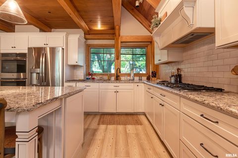 Tiny photo for 1165 Lake Shore Drive North Drive, Goreville, IL 62995 (MLS # EB460586)