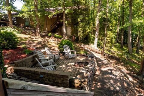 Tiny photo for 1165 Lake Shore Drive North Drive, Goreville, IL 62995 (MLS # EB460586)