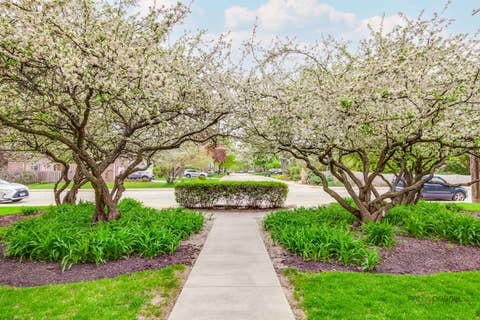 Tiny photo for 809 E Miner Street #3B, Arlington Heights, IL 60004 (MLS # 12630226)