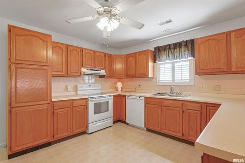 Tiny photo for 1306 N MAGNOLIA Drive, Marion, IL 62959 (MLS # EB459491)