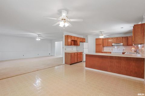 Tiny photo for 1306 N MAGNOLIA Drive, Marion, IL 62959 (MLS # EB459491)