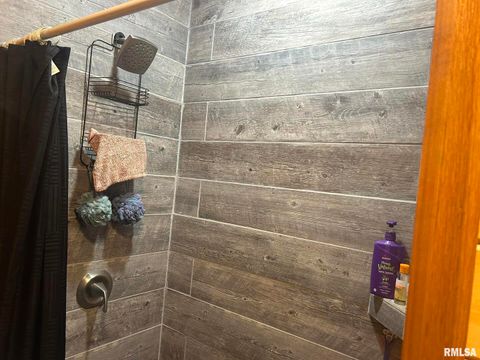 Tiny photo for 40 Presley Loop, Golconda, IL 62938 (MLS # EB460638)