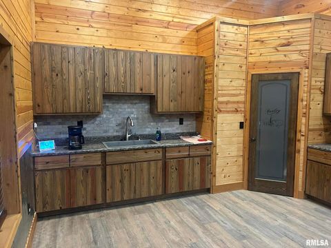 Tiny photo for 40 Presley Loop, Golconda, IL 62938 (MLS # EB460638)