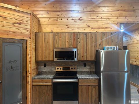 Tiny photo for 40 Presley Loop, Golconda, IL 62938 (MLS # EB460638)