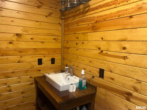 Tiny photo for 40 Presley Loop, Golconda, IL 62938 (MLS # EB460638)