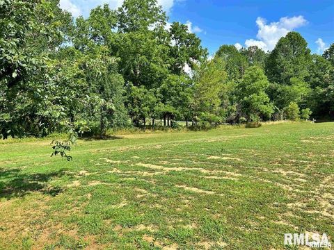 Tiny photo for 40 Presley Loop, Golconda, IL 62938 (MLS # EB460638)