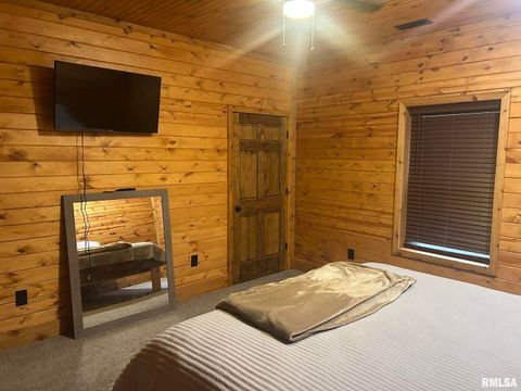 Tiny photo for 40 Presley Loop, Golconda, IL 62938 (MLS # EB460638)