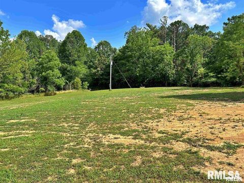 Tiny photo for 40 Presley Loop, Golconda, IL 62938 (MLS # EB460638)