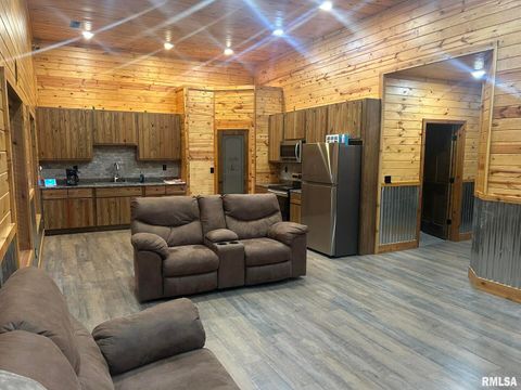 Tiny photo for 40 Presley Loop, Golconda, IL 62938 (MLS # EB460638)