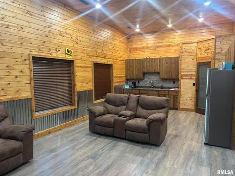 Tiny photo for 40 Presley Loop, Golconda, IL 62938 (MLS # EB460638)