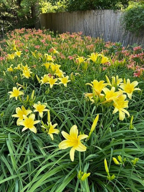 Tiny photo for 970 E Deerpath Road, Lake Forest, IL 60045 (MLS # 12566615)