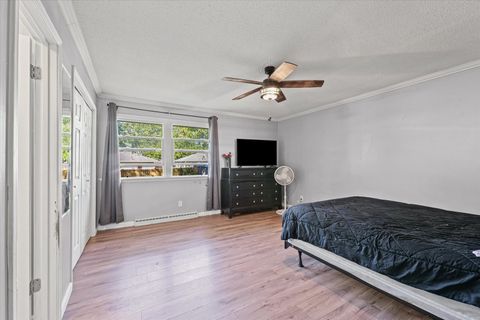 Tiny photo for 215 N Third Street, Fisher, IL 61843 (MLS # 12483067)