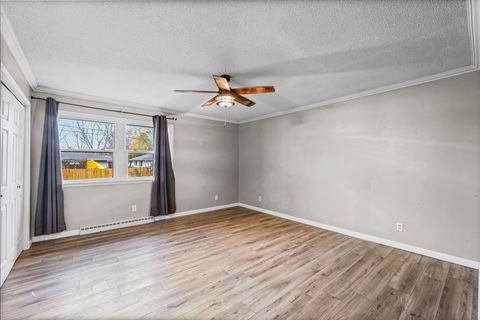 Tiny photo for 215 N Third Street, Fisher, IL 61843 (MLS # 12483067)