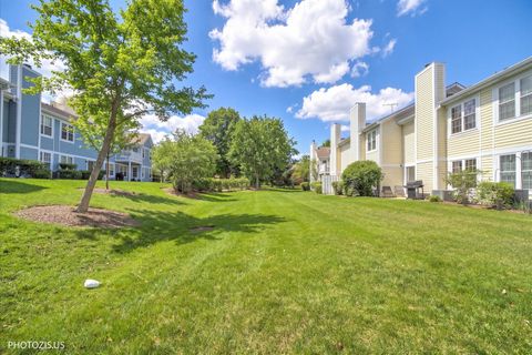 Tiny photo for 208 Westminster Court #D, Schaumburg, IL 60193 (MLS # 12604600)