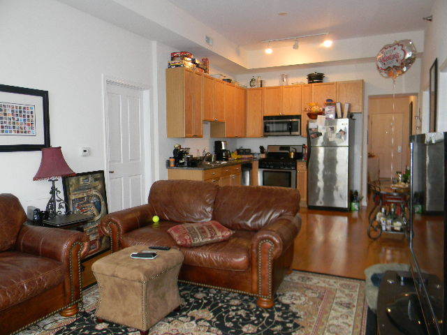 1464 S Michigan Avenue 2007