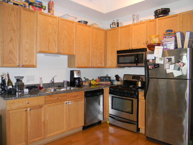 1464 S Michigan Avenue 2007
