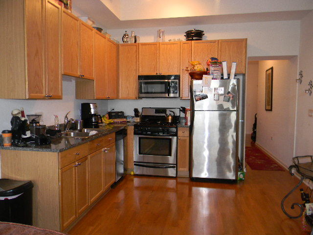 1464 S Michigan Avenue 2007