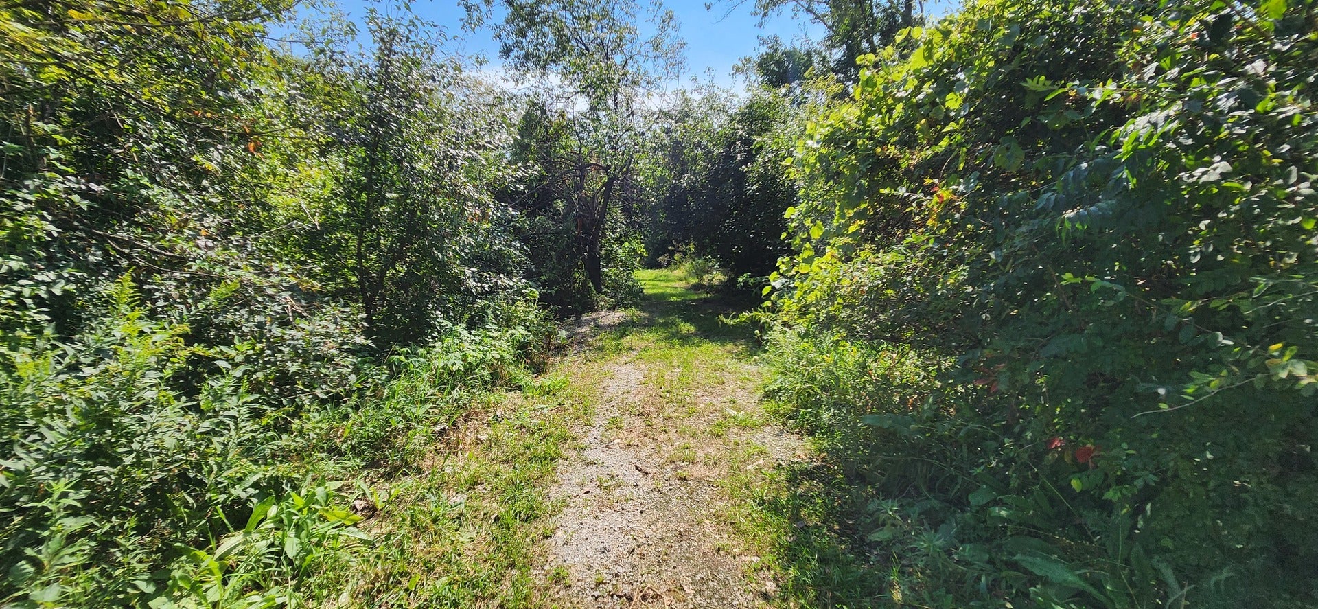V S Volbrecht Road