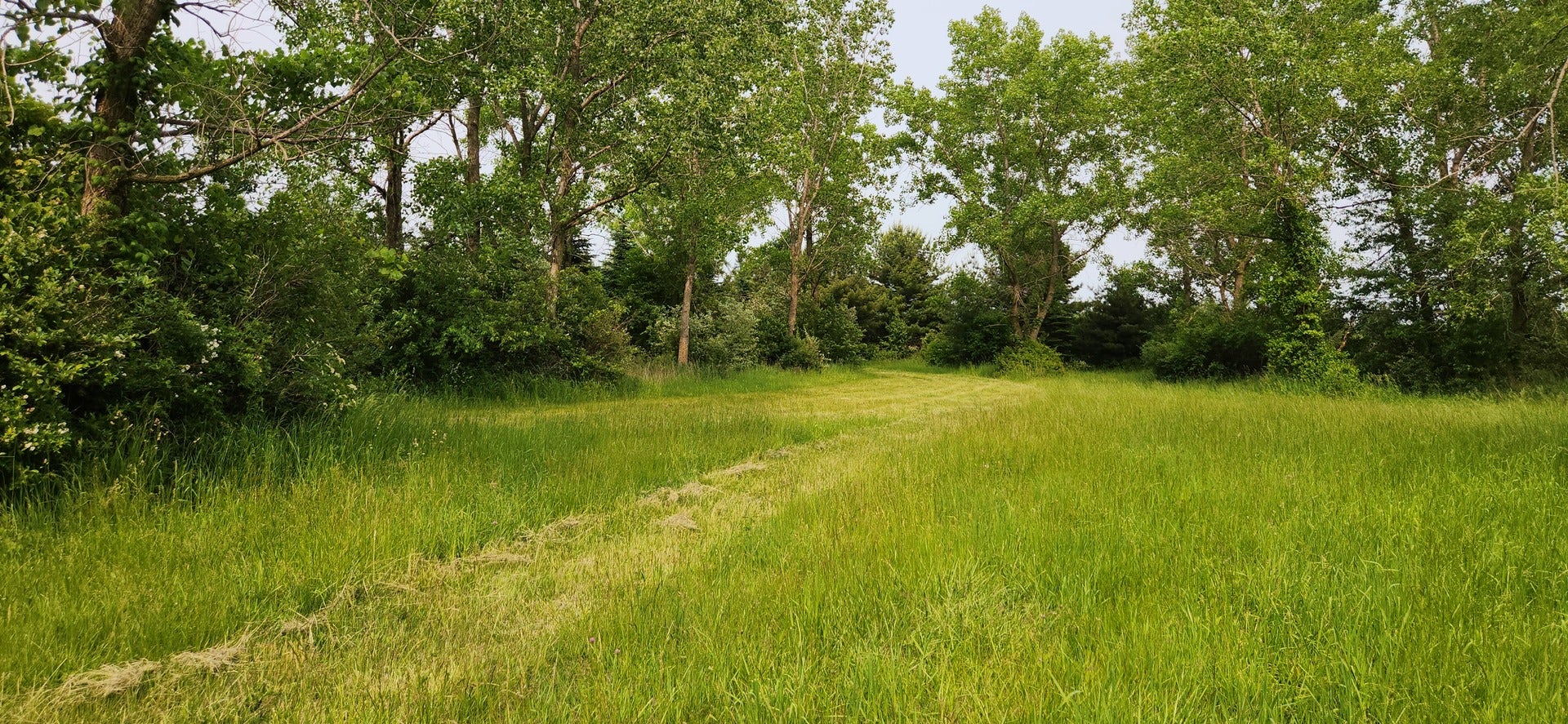 V S Volbrecht Road