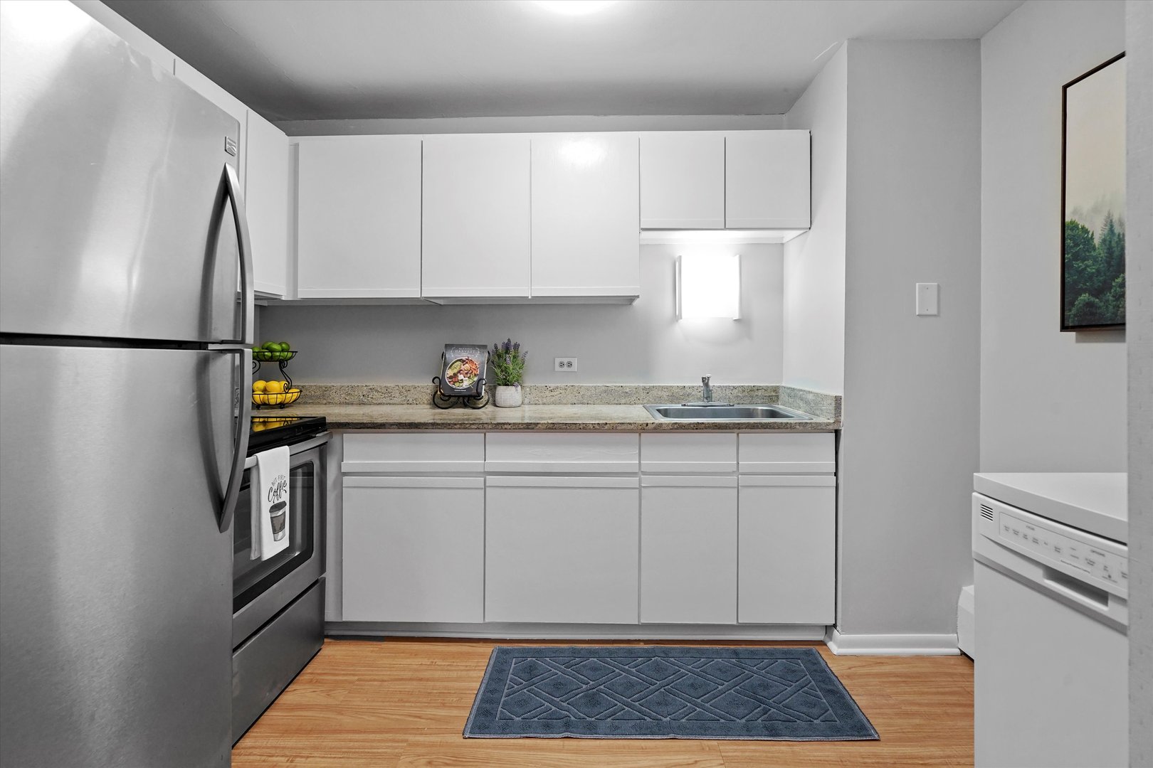233 E Erie Street 2105