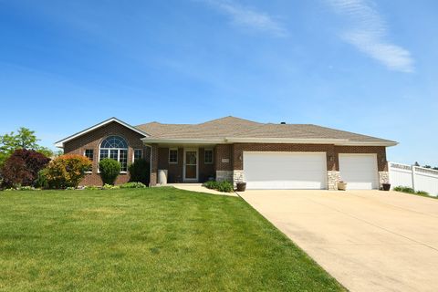 21156 S Wooded Cove Drive Elwood IL 60421