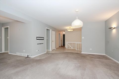 Tiny photo for 299 MALLARD POINT Point #D, Lake Barrington, IL 60010 (MLS # 12549419)