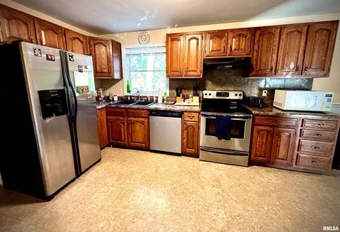 Tiny photo for 200 Williford Road, Jonesboro, IL 62952 (MLS # QC4268741)