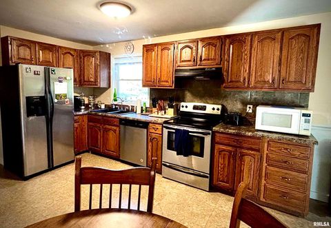 Tiny photo for 200 Williford Road, Jonesboro, IL 62952 (MLS # QC4268741)