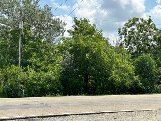 14463 S BELL RD, HOMER GLEN, IL 60491 - Image bcd12f45ade85fca858afbd9fab0e231/397487412