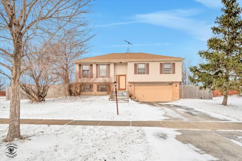 Photo of 7960 W Frankfort Square Road, Frankfort, IL 60423 (MLS # 12538073)