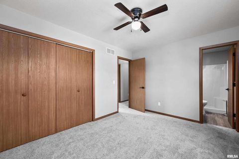 Tiny photo for 916 ASH Drive, Colona, IL 61241 (MLS # QC4267575)