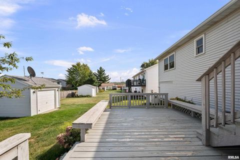 Tiny photo for 916 ASH Drive, Colona, IL 61241 (MLS # QC4267575)