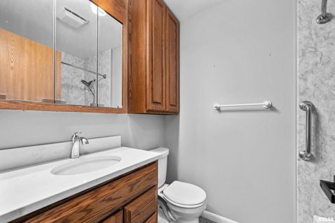 Tiny photo for 916 ASH Drive, Colona, IL 61241 (MLS # QC4267575)