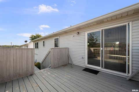 Tiny photo for 916 ASH Drive, Colona, IL 61241 (MLS # QC4267575)