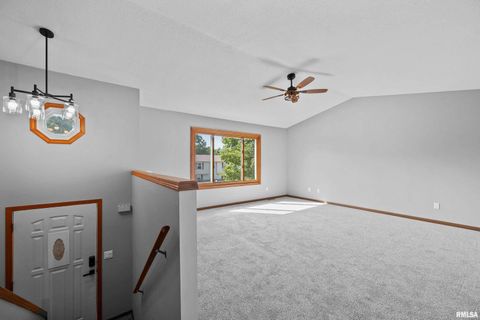 Tiny photo for 916 ASH Drive, Colona, IL 61241 (MLS # QC4267575)