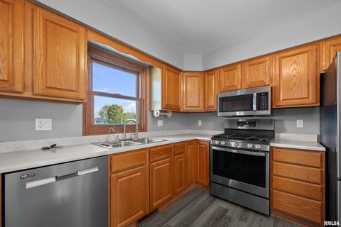 Tiny photo for 916 ASH Drive, Colona, IL 61241 (MLS # QC4267575)