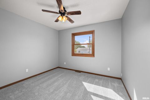 Tiny photo for 916 ASH Drive, Colona, IL 61241 (MLS # QC4267575)