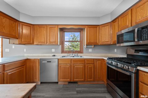 Tiny photo for 916 ASH Drive, Colona, IL 61241 (MLS # QC4267575)