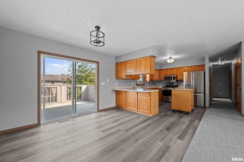 Tiny photo for 916 ASH Drive, Colona, IL 61241 (MLS # QC4267575)