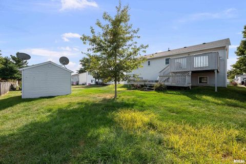 Tiny photo for 916 ASH Drive, Colona, IL 61241 (MLS # QC4267575)