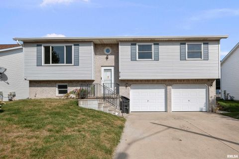 Photo of 916 ASH Drive, Colona, IL 61241 (MLS # QC4267575)