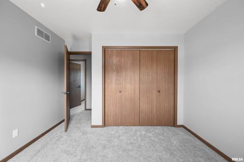 Tiny photo for 916 ASH Drive, Colona, IL 61241 (MLS # QC4267575)