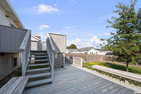 Tiny photo for 916 ASH Drive, Colona, IL 61241 (MLS # QC4267575)